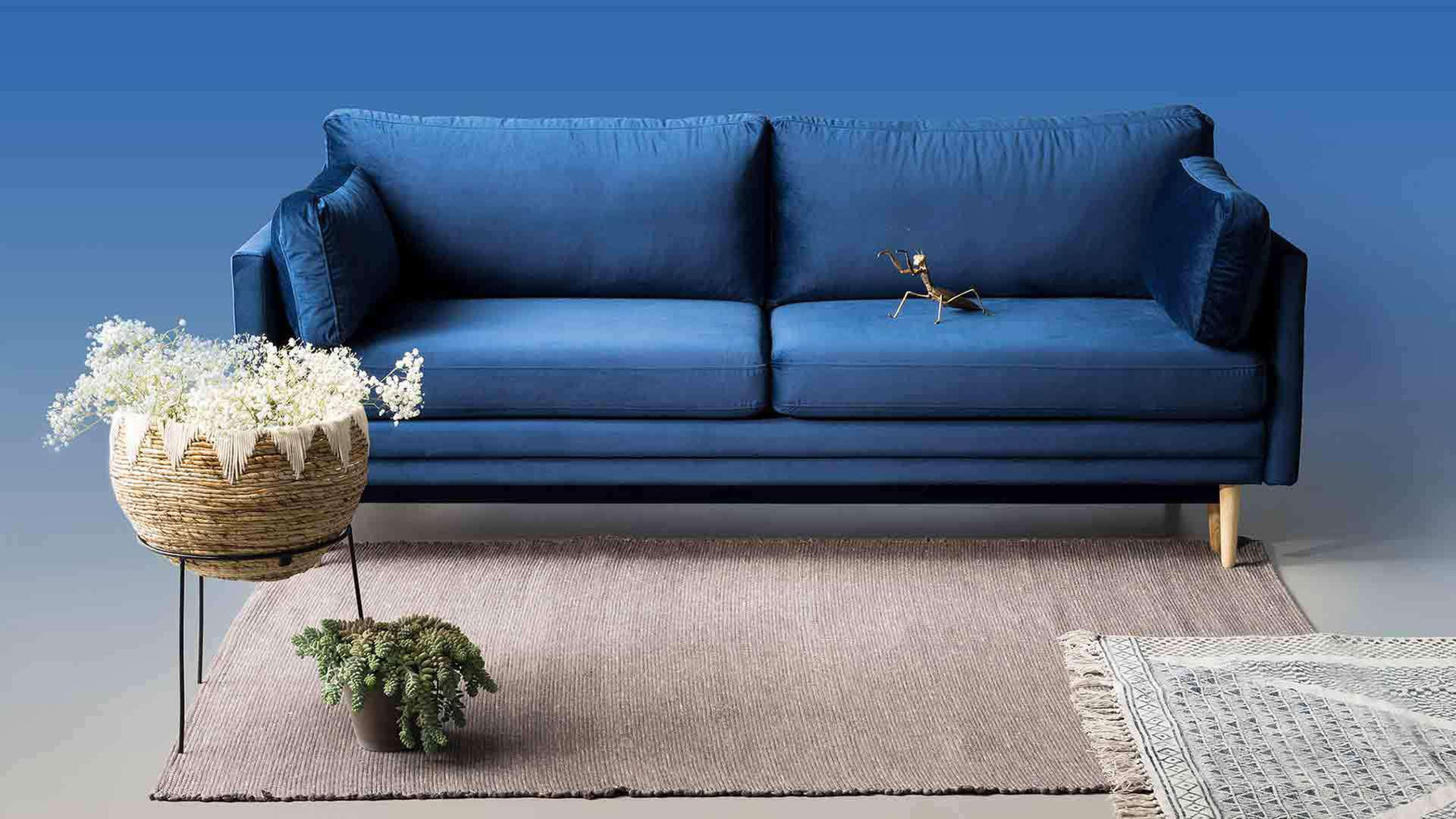 Mėlyna veliūrinė sofa-lova ant šviesaus kilimo